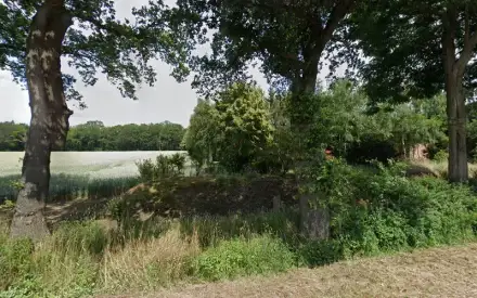 Foto von B + C Siemer Solar KG