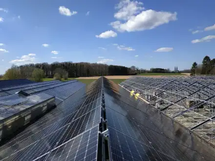 Foto von E.M.S. Sun Control GmbH