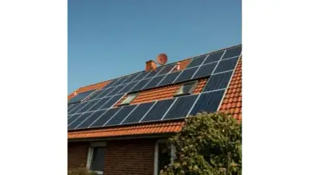 Foto von Elementum Navitas Arnstadt UG (haftungsbeschränkt)