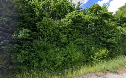 Foto von Enjoy Solar