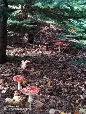 Foto von Erlinghäuser Stromspeicher/Photovoltaik