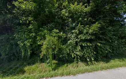 Foto von ESB Tech GmbH