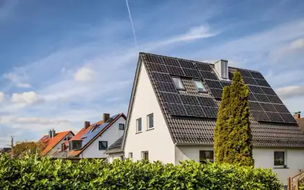 Foto von Grünes Morgen