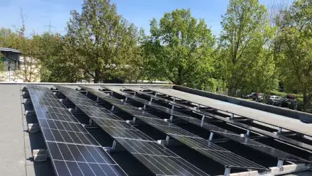 Foto von Heaven Gold GmbH