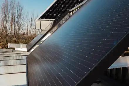 Foto von my green store