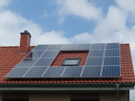 Foto von Photovoltaik Hecke Greifswald