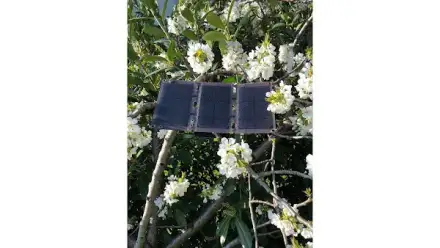 Foto von SEG Sonnenrepublik Energie GmbH