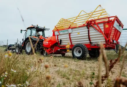 Foto von Solar Green Service GmbH & Co. KG