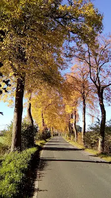 Foto von Solar- und Elektrotechnik Nehring UG (haftungsbeschränkt)