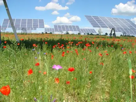 Foto von Solarparc GmbH