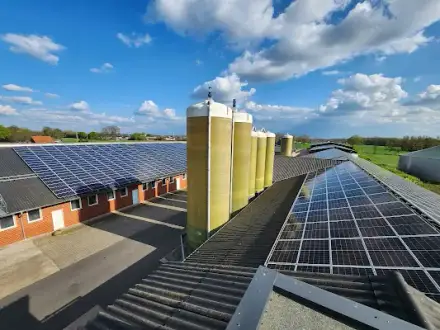 Foto von Solarreinigung Axmann🌀 | Photovoltaikreinigung | PV-Flechtenentfernung | Dachreinigung | Fassadenreinigung