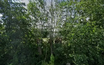 Foto von Solarstromanlage