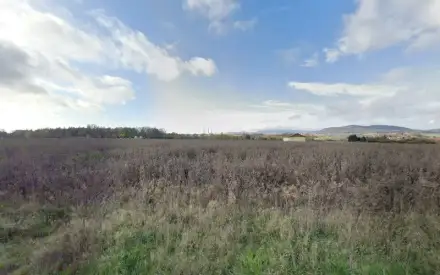 Foto von Solarstromanlage