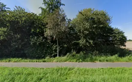 Foto von Solarstromanlagen