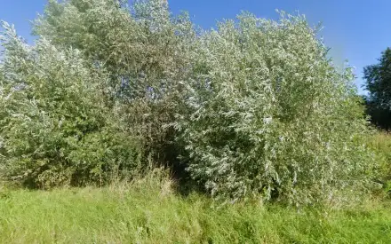 Foto von Solarstromanlagen