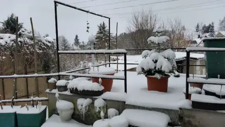 Foto von Sonnenstrom Muldental