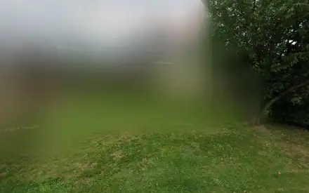 Foto von Stefan Riedel